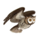 compagnon-hibou.png